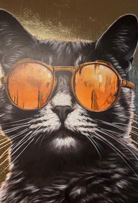 Bild im Saunabereich, eine Katze mit Sonnenbrille